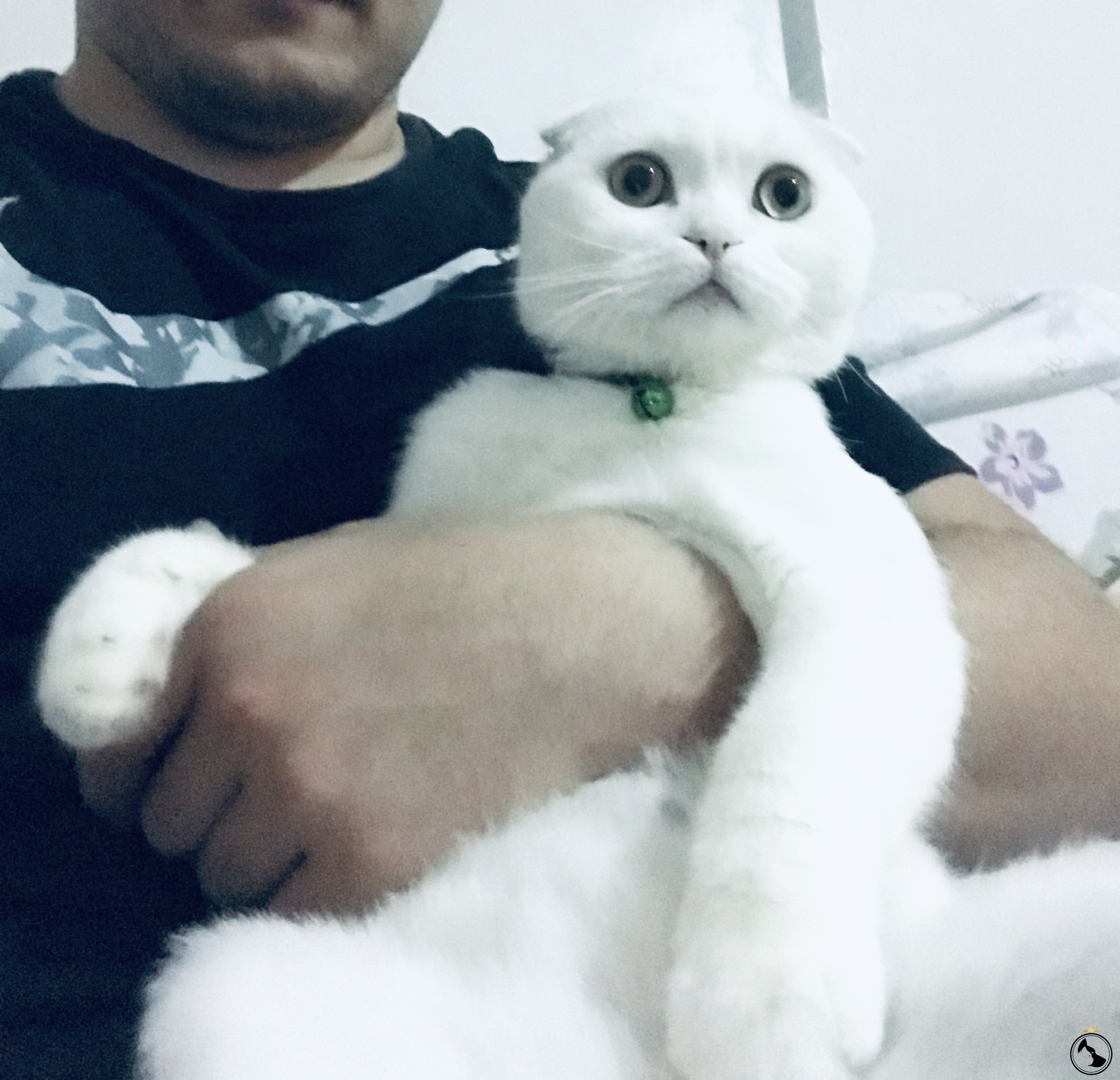 kedime eş arıyorum